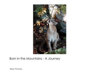 Born in the Mountains - A Journey book cover