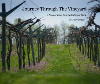 Journey Through The Vineyard book cover