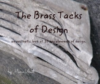 The Brass  Tacks  of Design   an aesthetic look at  10 key elements of design. book cover