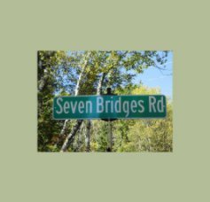 Seven Bridges Road book cover