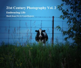 21st Century Photography Vol. 2 book cover