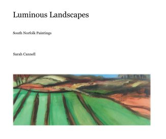Luminous Landscapes book cover