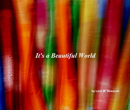 It's a Beautiful World book cover