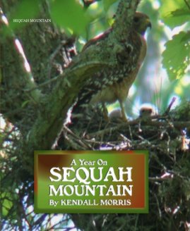 SEQUAH MOUNTAIN book cover