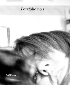 Portfolio no.1 book cover