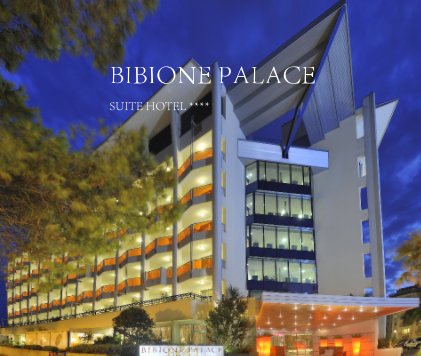 BIBIONE PALACE SUITE HOTEL **** book cover