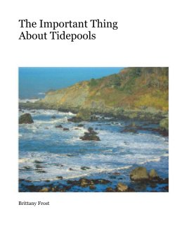 The Important Thing 
About Tidepools book cover