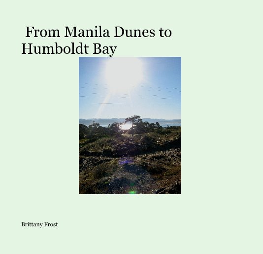 View From Manila Dunes to Humboldt Bay by Brittany Frost