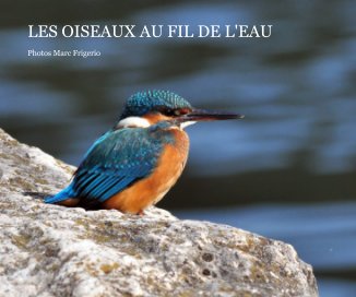 LES OISEAUX AU FIL DE L'EAU book cover