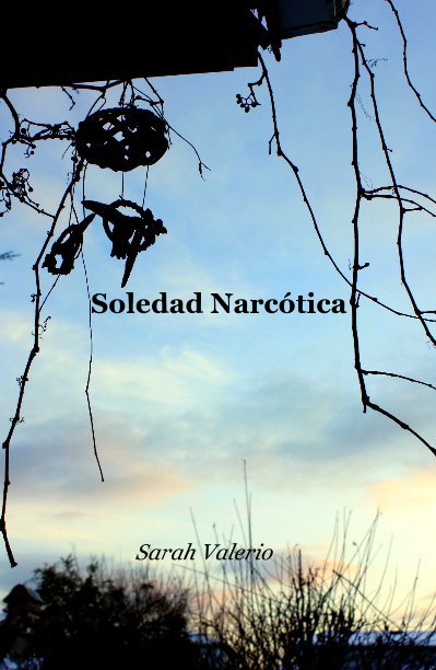 View Soledad Narcotica by Sarah Valerio