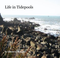 Life in Tidepools book cover