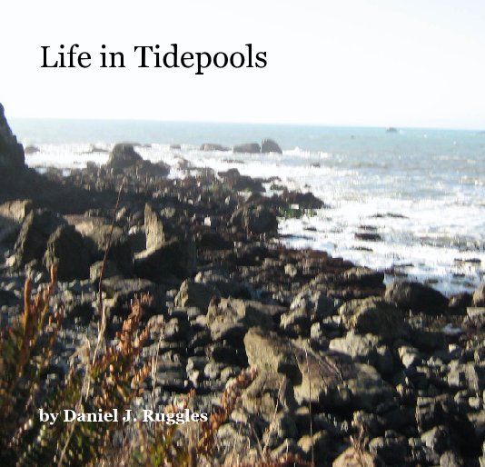 View Life in Tidepools by Daniel J. Ruggles