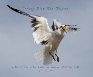 Cheezy Poof Sea Pigeons book cover