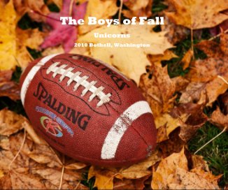 The Boys of Fall book cover