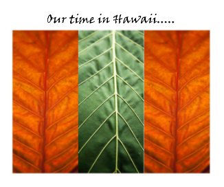 Our time in Hawaii..... book cover