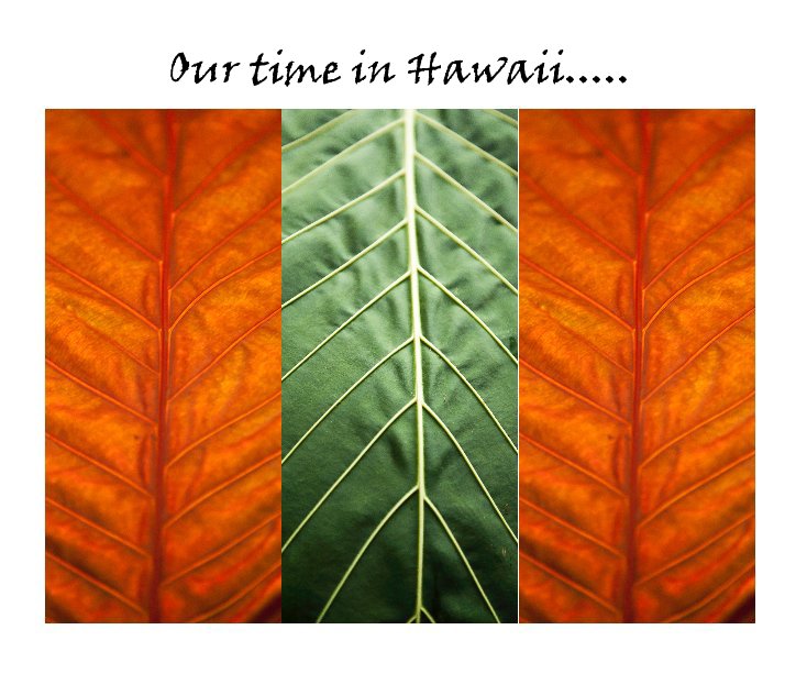 Ver Our time in Hawaii..... por Kevan L. Barton
