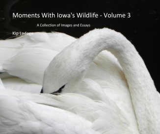 Moments With Iowa's Wildlife - Volume 3 book cover