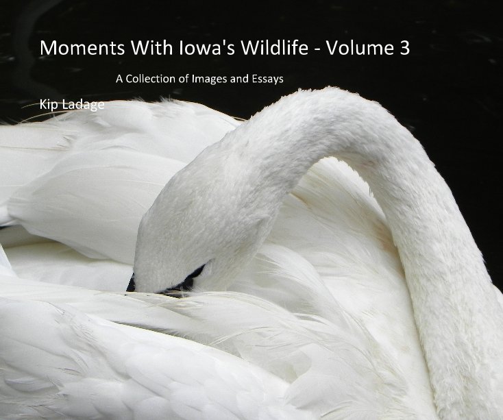 View Moments With Iowa's Wildlife - Volume 3 by Kip Ladage