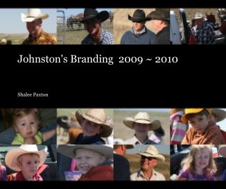 Johnston's Branding 2009 ~ 2010 book cover