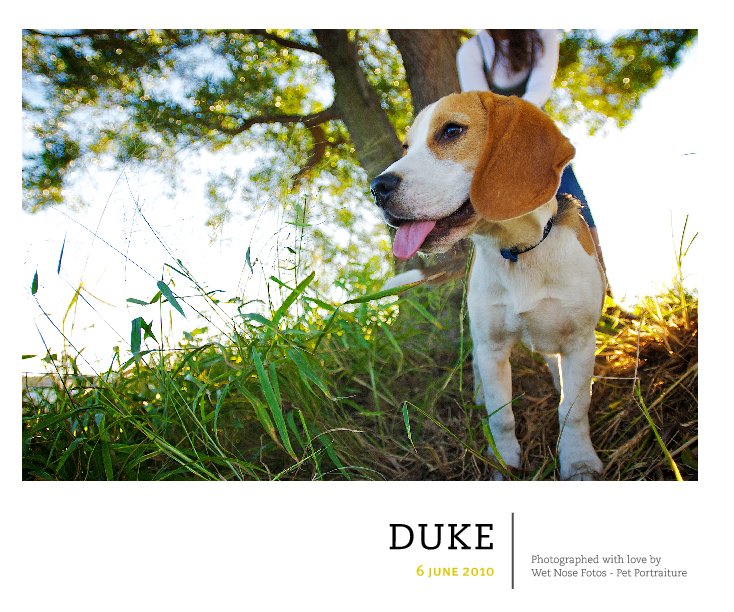 Ver Duke por Wet Nose Fotos