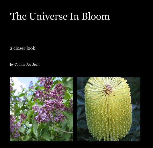 Bekijk The Universe In Bloom op Connie Joy Jean