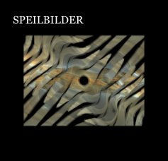 SPEILBILDER book cover