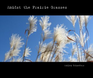 Amidst the Prairie Grasses book cover