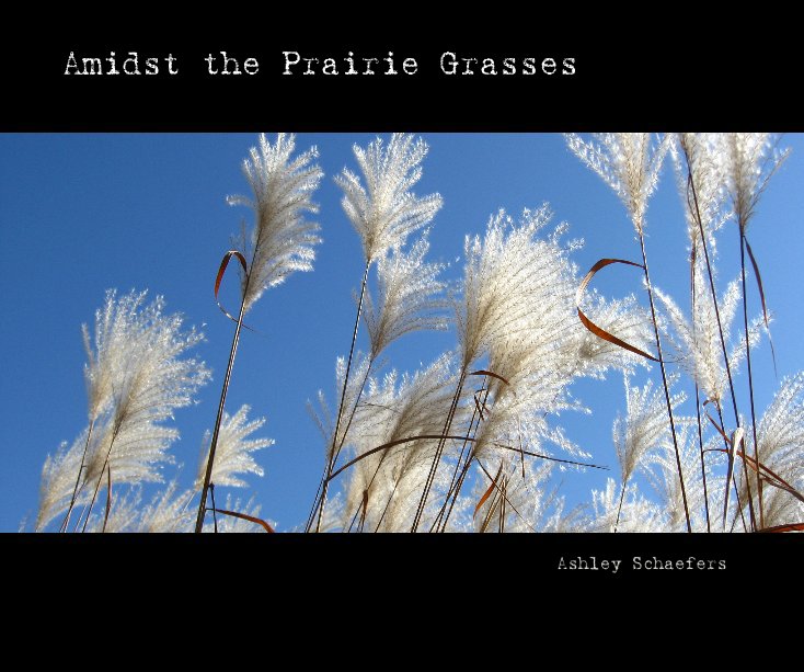 Ver Amidst the Prairie Grasses por Ashley Schaefers