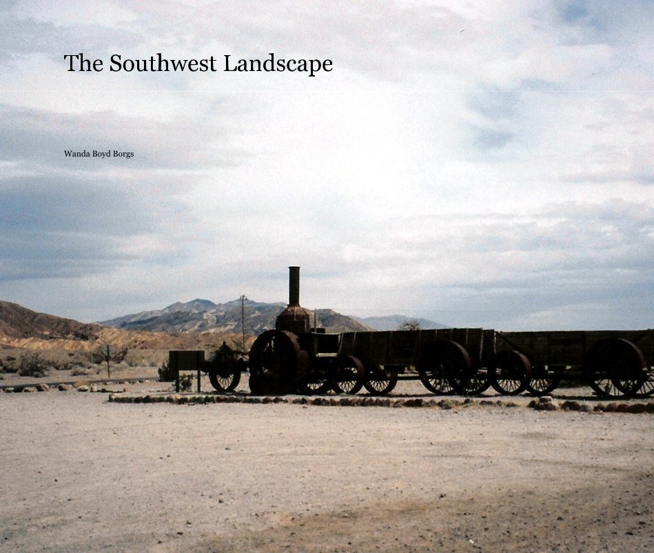 View The Southwest Landscape by Wanda Boyd Borgs