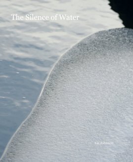 The Silence of Water II book cover