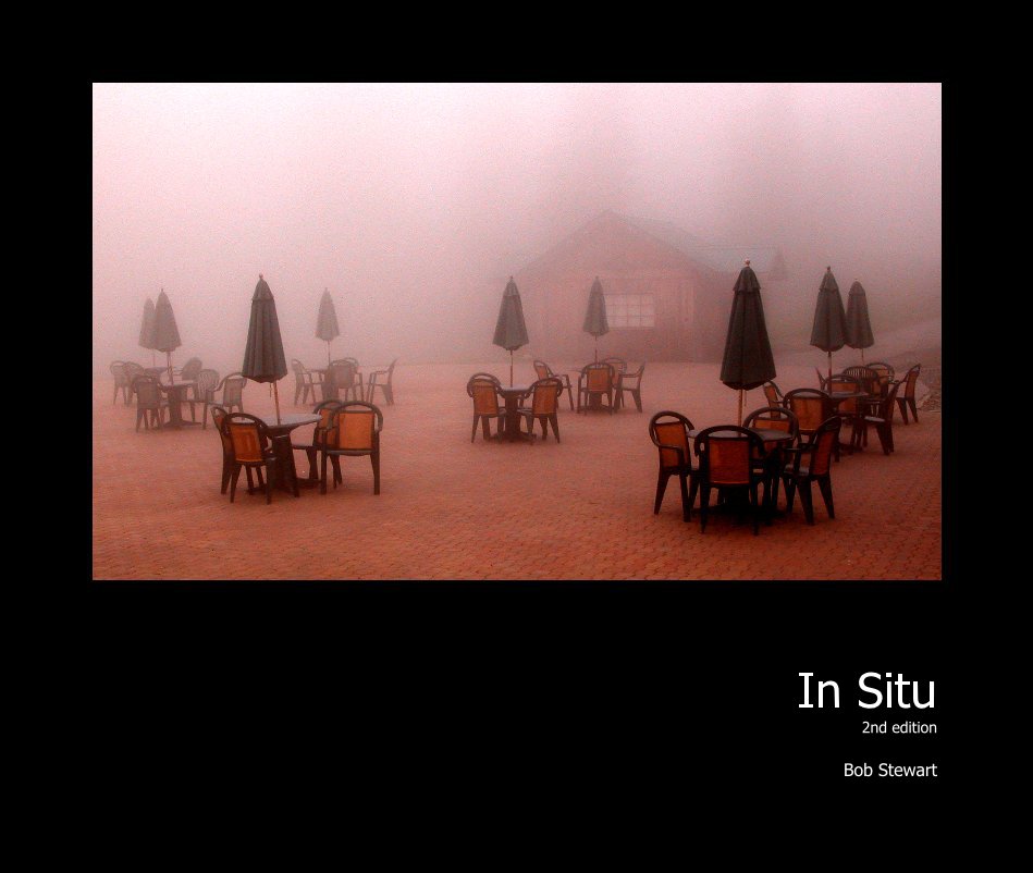 View In Situ 2nd edition by Bob Stewart
