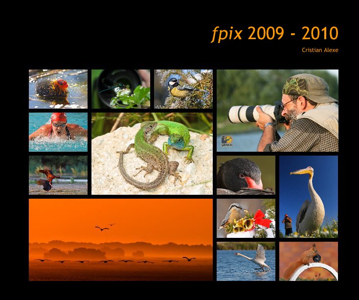 View fpix 2009 - 2010 by Cristian Alexe