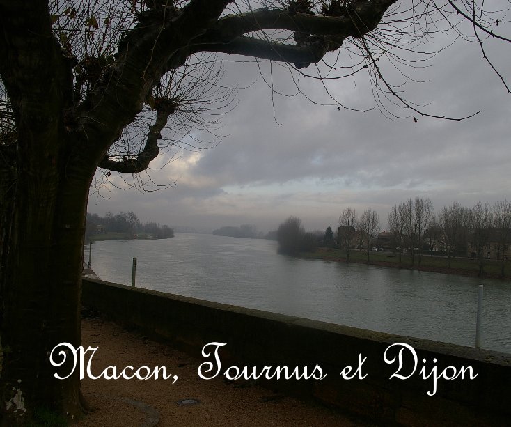 View Macon, Tournus et Dijon by Douglas Wilkie