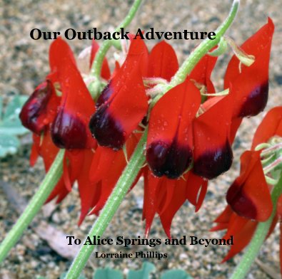 Our Outback Adventure book cover