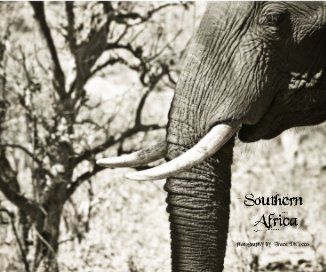 Journeying Safari book cover
