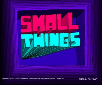 small things book cover