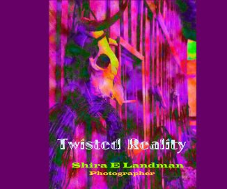 Twisted Reality book cover