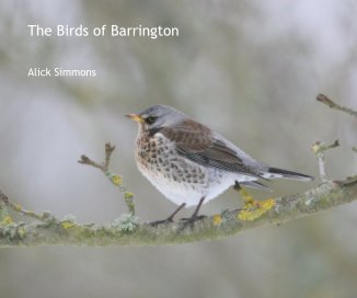 The Birds of Barrington book cover