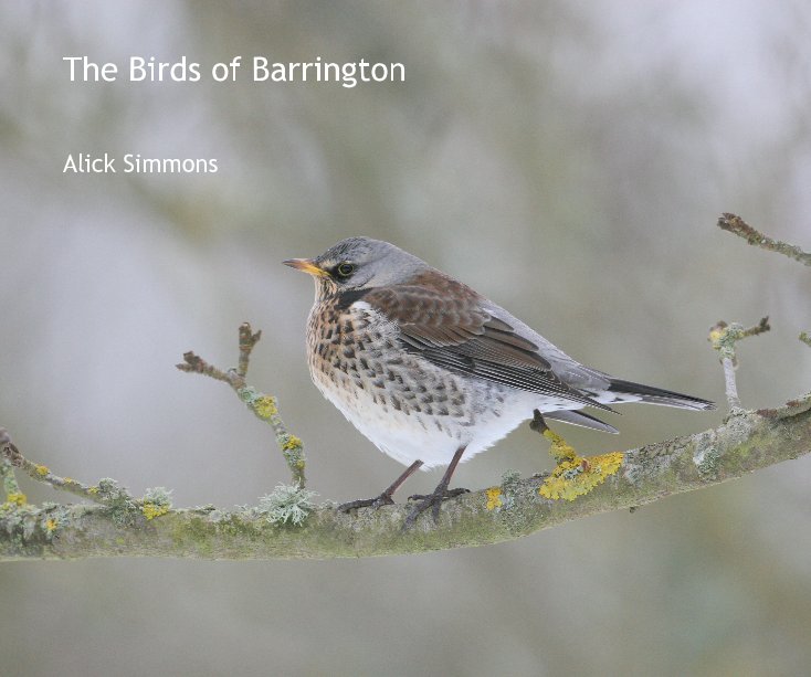 View The Birds of Barrington by Alick Simmons