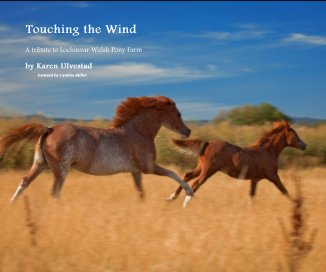Touching the Wind book cover