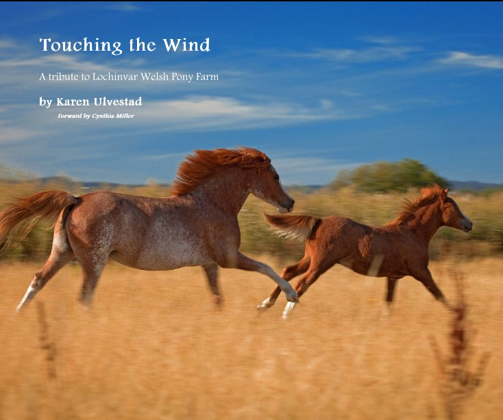 Ver Touching the Wind por Karen Ulvestad