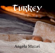 Turkey book cover