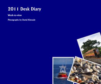 2011 Desk Diary book cover