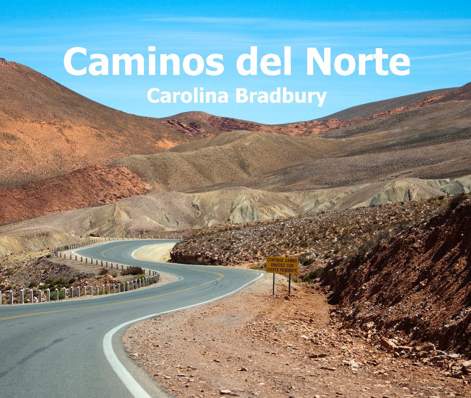 View Caminos del Norte by Carolina Bradbury