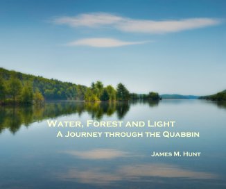 Water, Forest and Light book cover