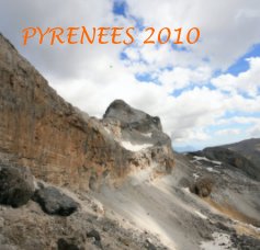 PYRENEES 2010 book cover