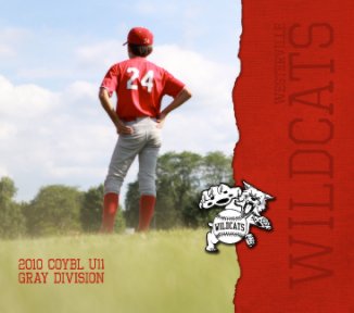 Wildcats Baseball 2010 book cover