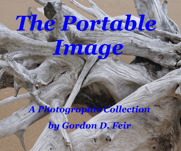 View The Portable Image by Gordon D. Feir