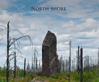 North Shore book cover