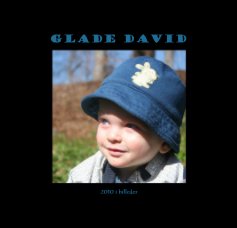 Glade David book cover